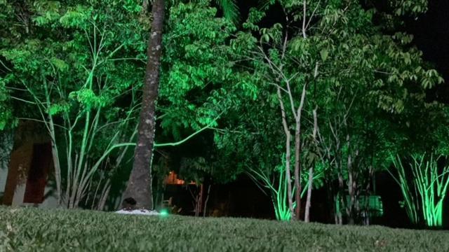Bons Ventos Camping E Glamping Barra Grande  Bagian luar foto